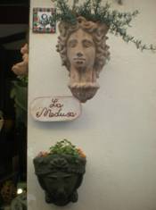 medusa